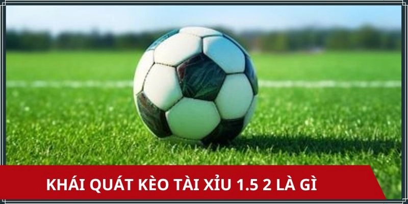 Sơ lược kèo tài xỉu 0.5/1 là gì