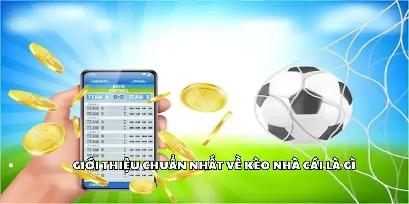 Giới thiệu thông tin chuẩn nhất về kèo nhà cái