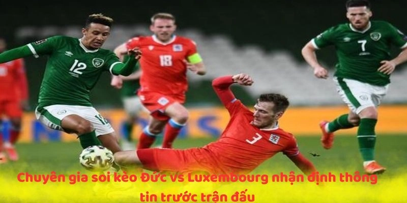 Chuyên gia soi kèo Đức vs Luxembourg nhận định thông tin trước trận đấu