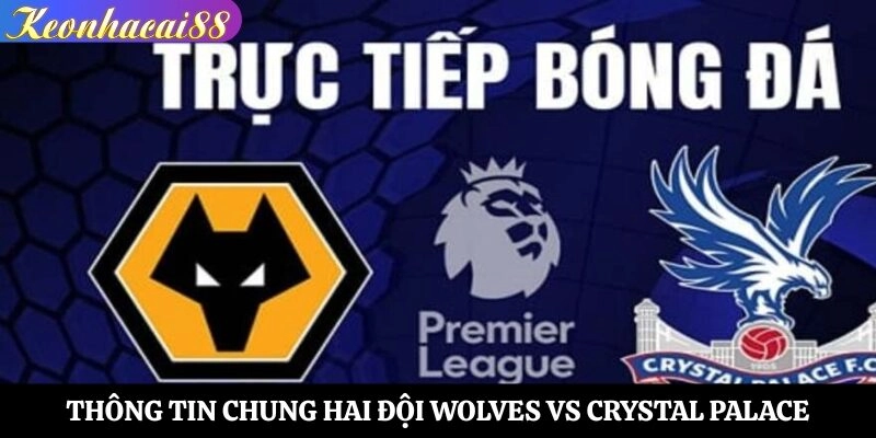 Tìm hiểu thông tin chung hai đội Wolves vs Crystal Palace