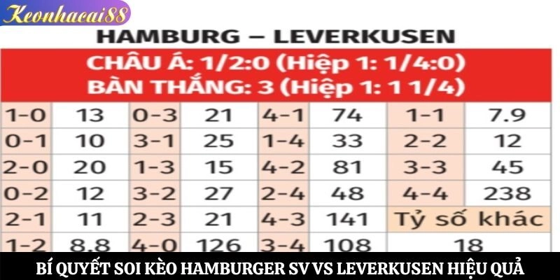 Bí quyết soi kèo Hamburger SV vs Leverkusen hiệu quả