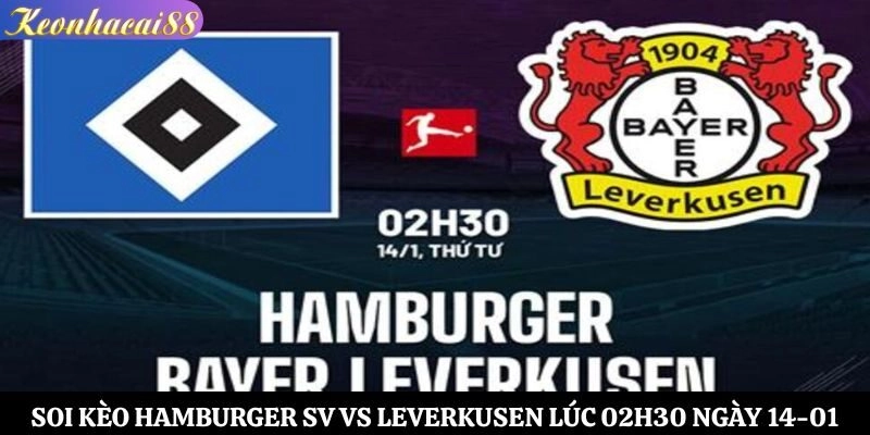 Soi kèo Hamburger SV vs Leverkusen