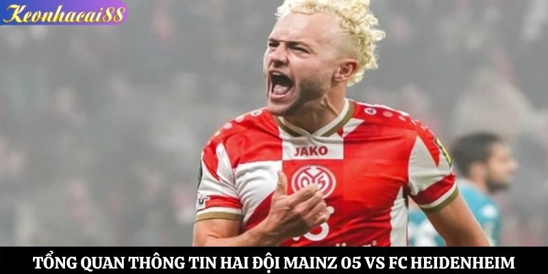 Tổng quan thông tin hai đội Mainz 05 vs FC Heidenheim