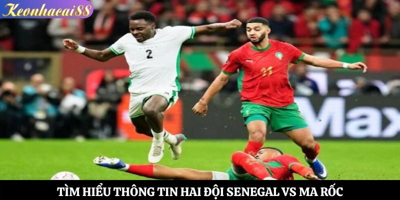 Tìm hiểu thông tin hai đội Senegal vs Ma Rốc